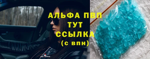 стаф Осинники