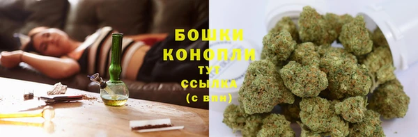 амф Переславль-Залесский