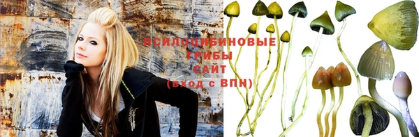 стаф Осинники