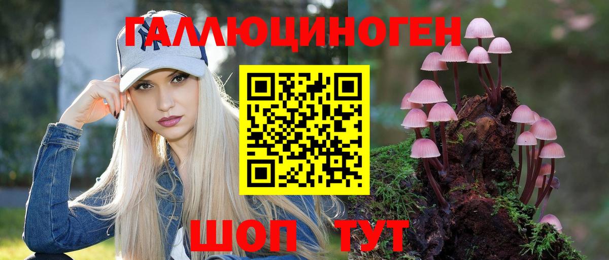 Псилоцибиновые грибы GOLDEN TEACHER  где можно купить наркотик  Радужный  Псилоцибиновые грибы GOLDEN TEACHER  Вход с VPN 