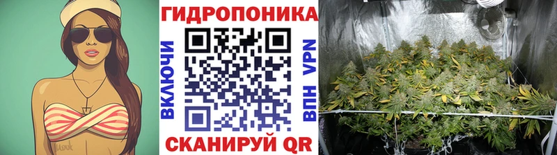 Канабис план  Радужный 